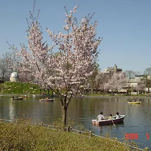 美松荘旅館 , 旭川市 日本